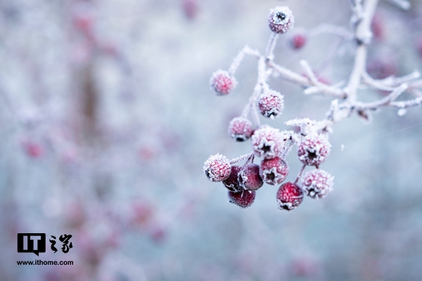 讲今日霜降_今日霜降天气寒凉愿君心暖_
