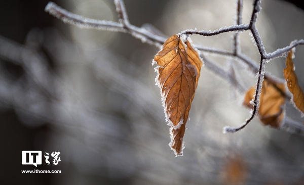 _今日霜降天气寒凉愿君心暖_讲今日霜降