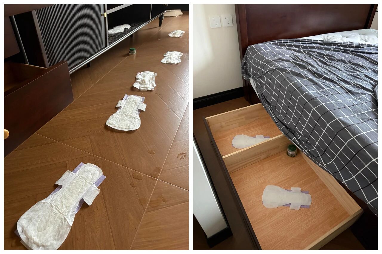 _果然还是年轻人脑子好使!“过期物品”换个思路用,居然更好用_果然还是年轻人脑子好使!“过期物品”换个思路用,居然更好用