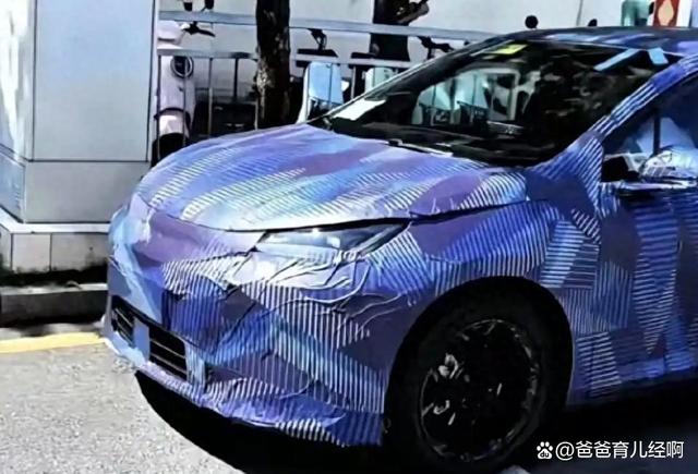 比亚迪海豚新车谍照曝光:颜值回归,两厢设定加后驱,电动小钢炮要来了-有驾