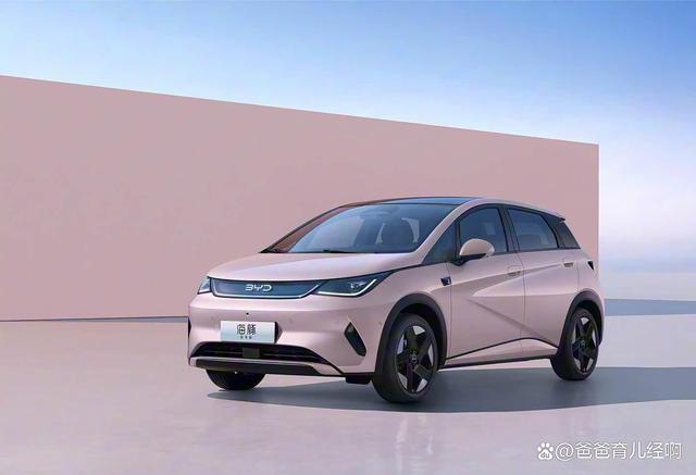 比亚迪海豚新车谍照曝光:颜值回归,两厢设定加后驱,电动小钢炮要来了-有驾