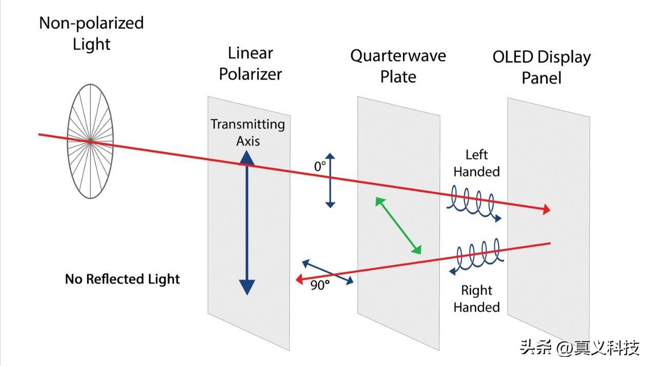 iQOO15竟活成了一加15最想成为的样子?蓝厂虎儿战斗力究竟有多强_iQOO15竟活成了一加15最想成为的样子?蓝厂虎儿战斗力究竟有多强_