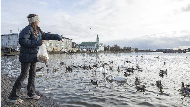 冰岛首都雷克雅未克 (来源:新华社)