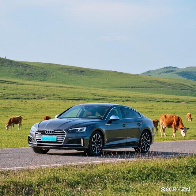 奥迪免拆治理烧机油注意事项-有驾