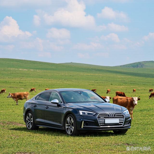 奥迪免拆治理烧机油注意事项-有驾