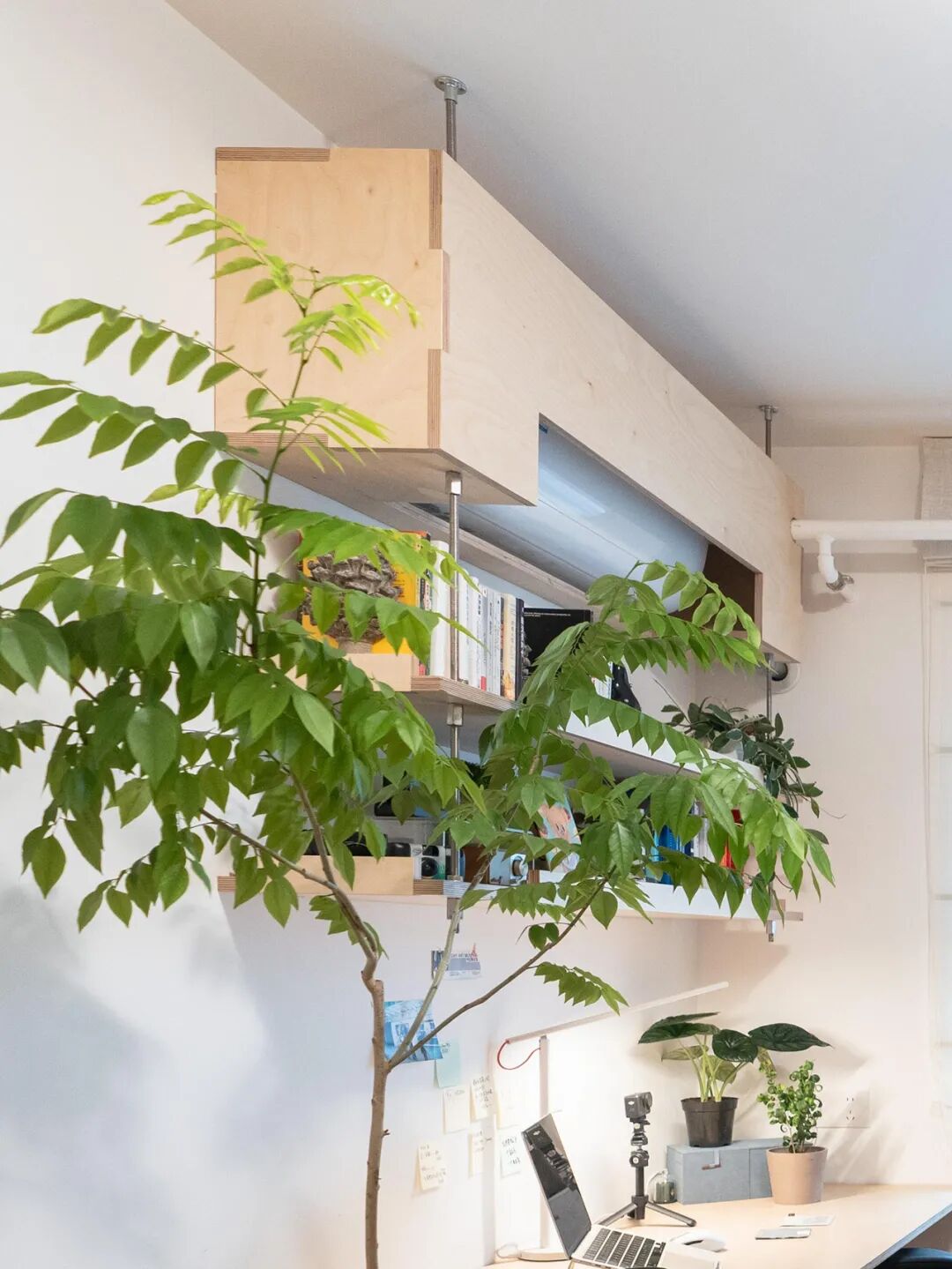 空调管子太丑怎么办?看了网友家的做法后,发现全是绝妙点子__空调管子太丑怎么办?看了网友家的做法后,发现全是绝妙点子