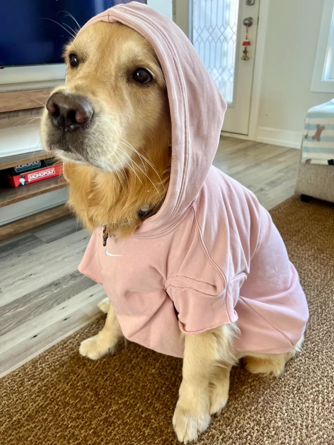 _人疯了脑子什么感觉_浪费脑力