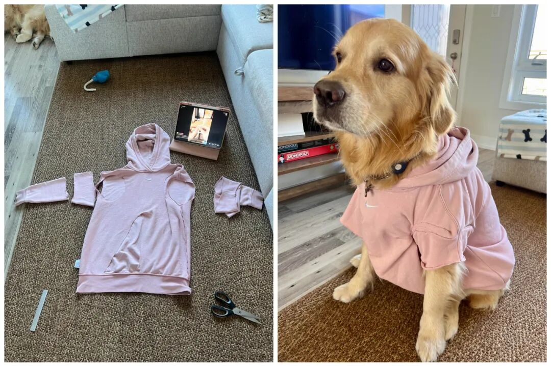 浪费脑力_人疯了脑子什么感觉_