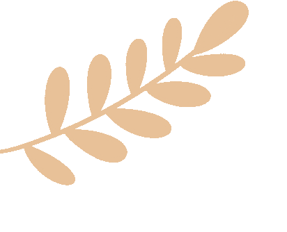 秒懂公积金新政大礼包__秒懂公积金新政大礼包