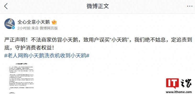 天鹅小鸟_天鹅国际和小天鹅的关系_