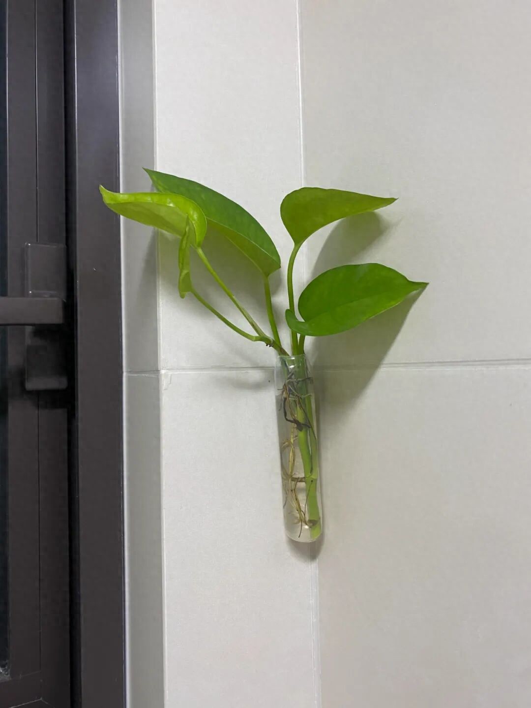 邪令是什么意思_被年轻人的“邪修妙招”惊到了!一分钱不花,就解决了生活痛点_