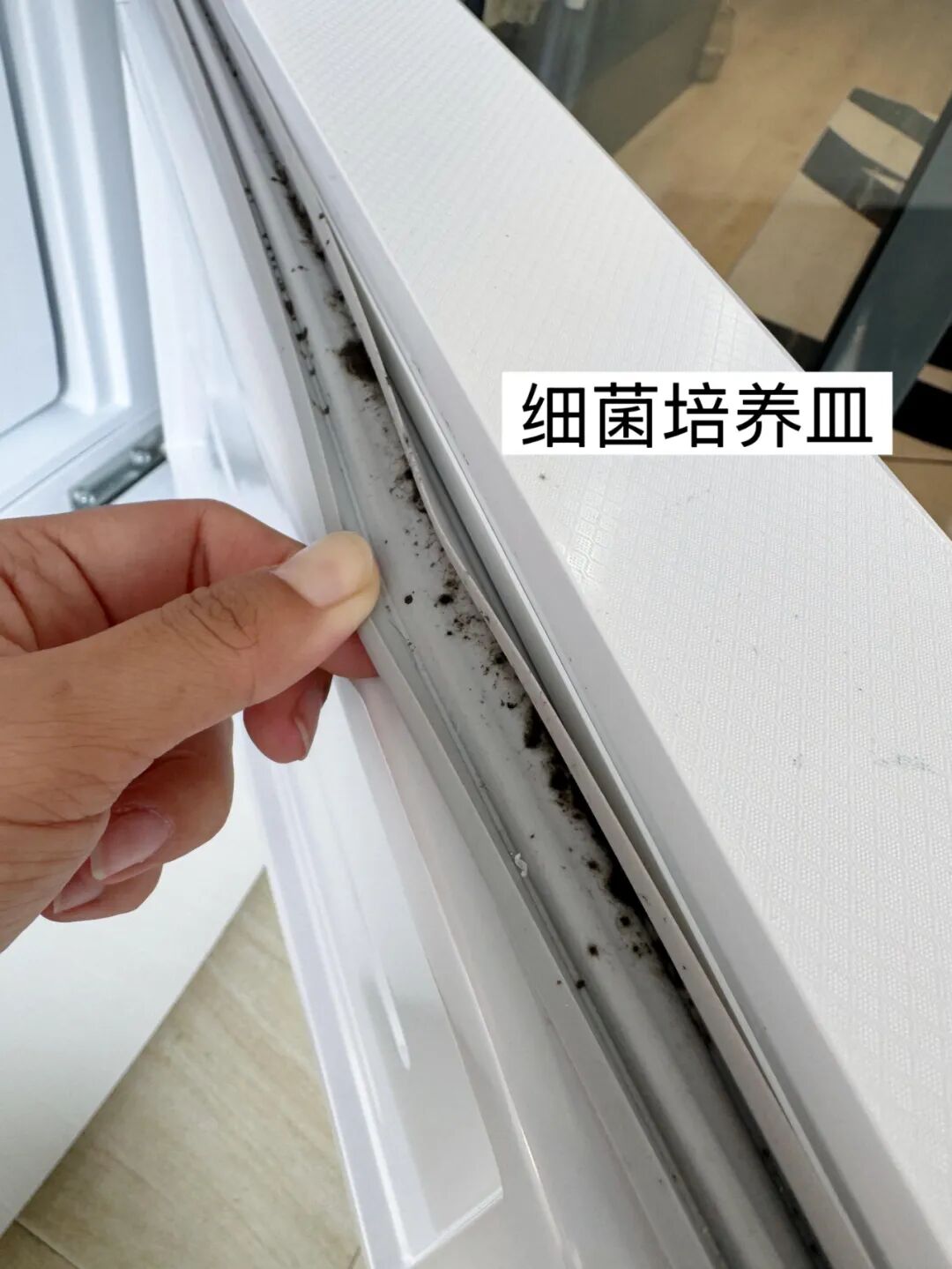 邪令是什么意思__被年轻人的“邪修妙招”惊到了!一分钱不花,就解决了生活痛点