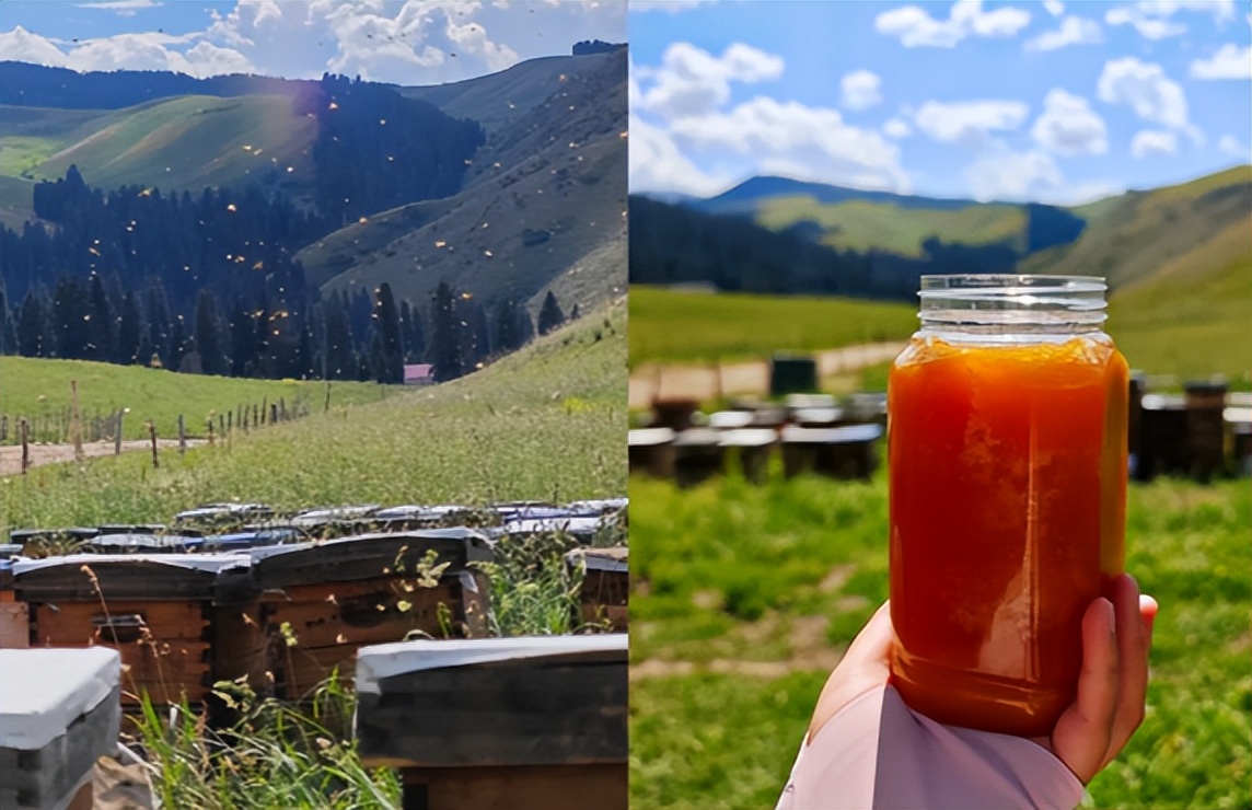 坏掉的食物很危险__坏了的食物怎么处理