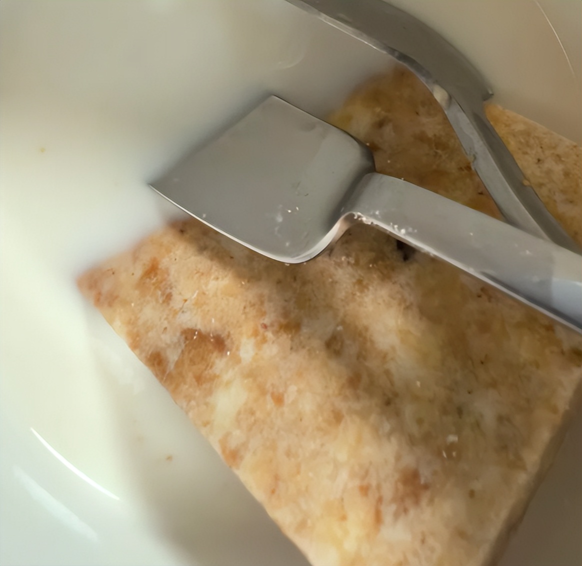 坏了的食物怎么处理_坏掉的食物很危险_