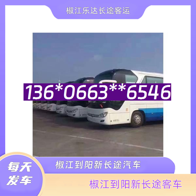 椒江到阳新客车汽车-椒江到阳新客车汽车-宠物托运-有驾