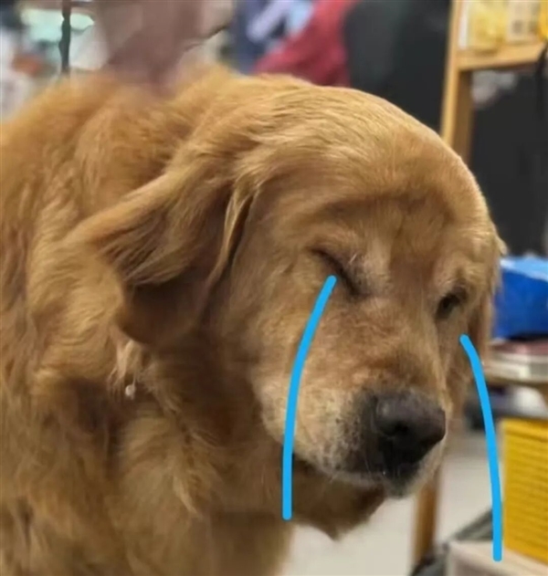 新国标要来了:你可能再也买不到9块9的充电宝了