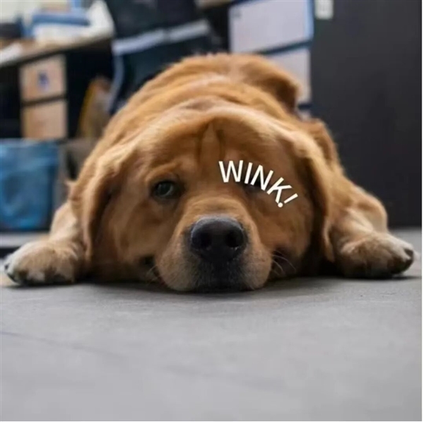 新国标要来了:你可能再也买不到9块9的充电宝了