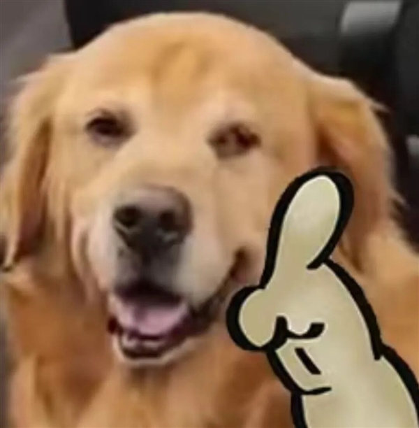 新国标要来了:你可能再也买不到9块9的充电宝了