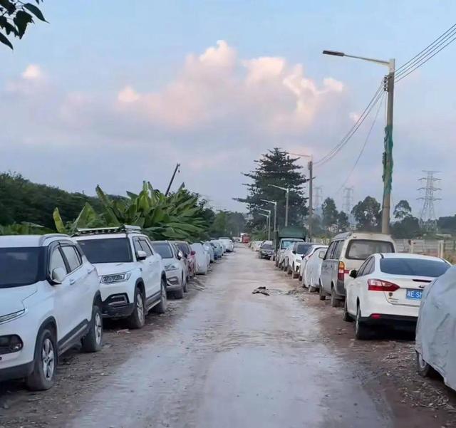 “一年两箱油”车主将出行,车常闲置是何缘故?-有驾