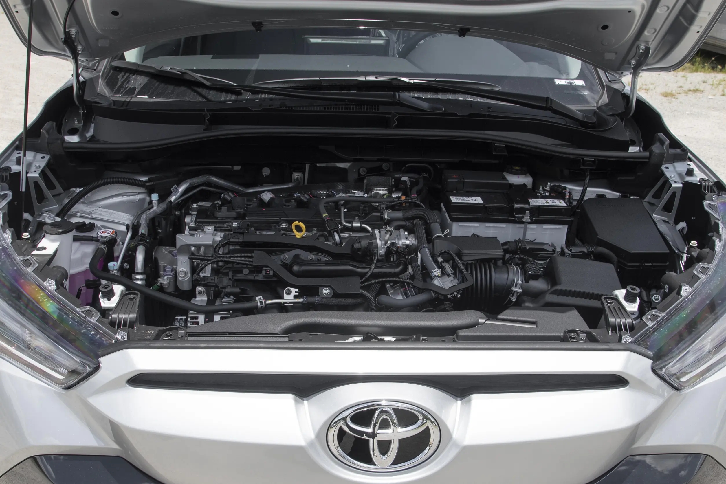 _丰田油耗低的车型_丰田纯电比亚迪